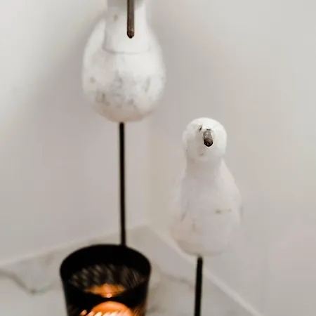 Arleo Villa Nieuwpoort